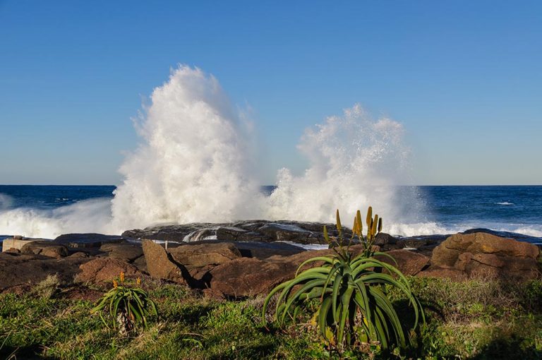 the-kzn-south-coast-4